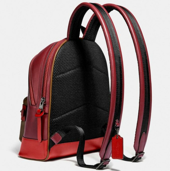 Coach Limited Edition Burlington VT Lake Monster - Picture 2 of 5